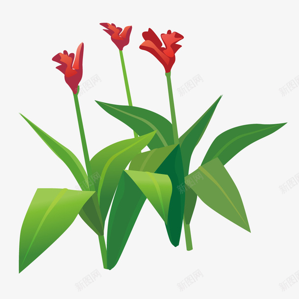 绿植花卉png免抠素材_88icon https://88icon.com 两株 卡通 叶子 手绘 简图 红色 绿植 绿色 花朵