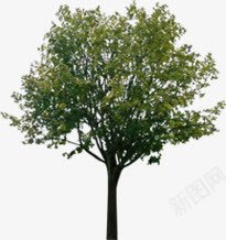 公园美景创意景观png免抠素材_88icon https://88icon.com 公园 创意 景观 美景