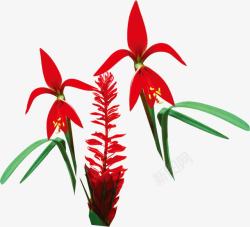 创意手绘红色的植物花卉草本素材