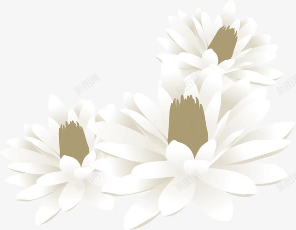 白色唯美水彩花朵立体png免抠素材_88icon https://88icon.com 水彩 白色 立体 花朵