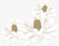 白色唯美水彩花朵立体素材