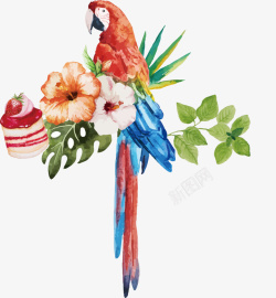 水彩鹦鹉花朵海报卡通矢量图素材