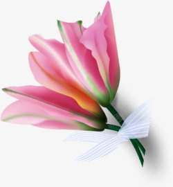 唯美粉色花束花朵素材