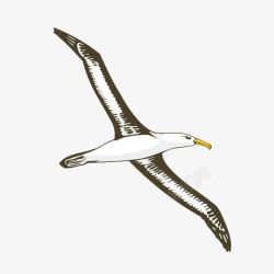 海鸥立体卡通素材