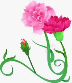 粉色手绘水彩花朵康乃馨素材