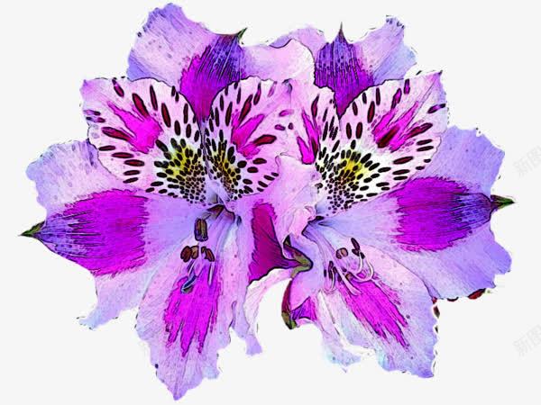紫色木槿花png免抠素材_88icon https://88icon.com 木槿 漂浮 紫色 鲜花