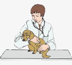 人和宠物医生治疗狗狗素材