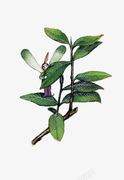 卡通植物水彩蜻蜓精灵素材