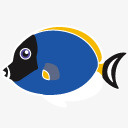 刺尾鱼鱼加勒比梦鱼图标图标