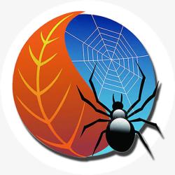 创意蜘蛛四季素材