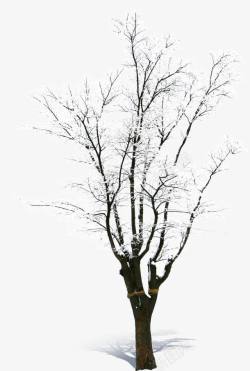 创意摄影合成雪景树木素材