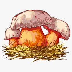 鐣栾鍗卡通蘑菇高清图片