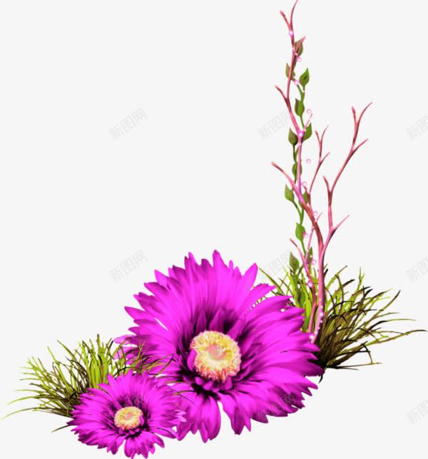 紫色的鲜花png免抠素材_88icon https://88icon.com 植物 矢量装饰 紫色 紫花 装饰 鲜花