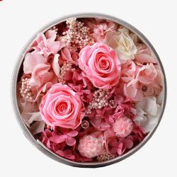 粉色玫瑰花礼物盒素材