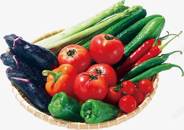 新鲜蔬菜番茄芹菜青红椒png免抠素材_88icon https://88icon.com 新鲜 番茄 芹菜 蔬菜