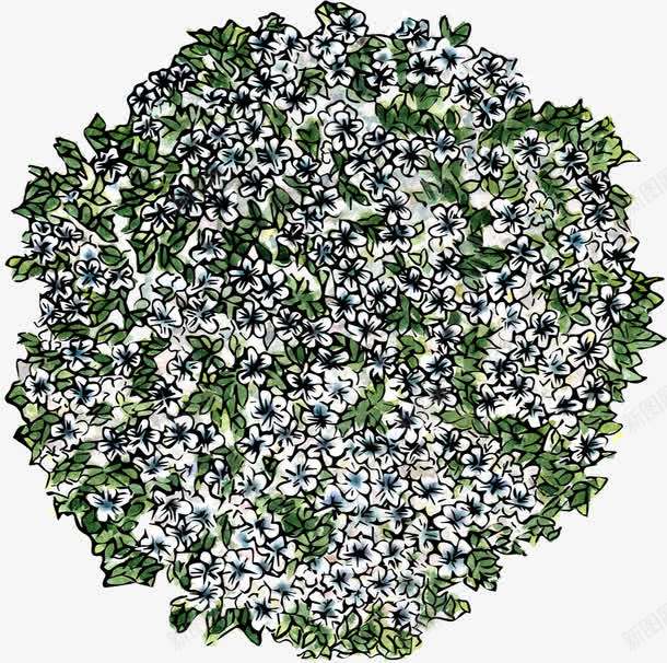 绿叶花朵俯视图png免抠素材_88icon https://88icon.com ps植物平面贴图 俯视图 树叶 植物 花朵 装饰