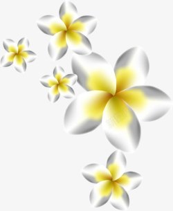 白色简约木槿花花卉素材