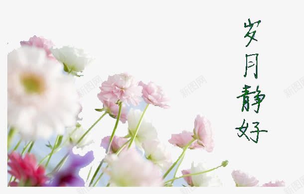 花朵岁月静好png免抠素材_88icon https://88icon.com 中国风 字 岁月静好 花 静好岁月