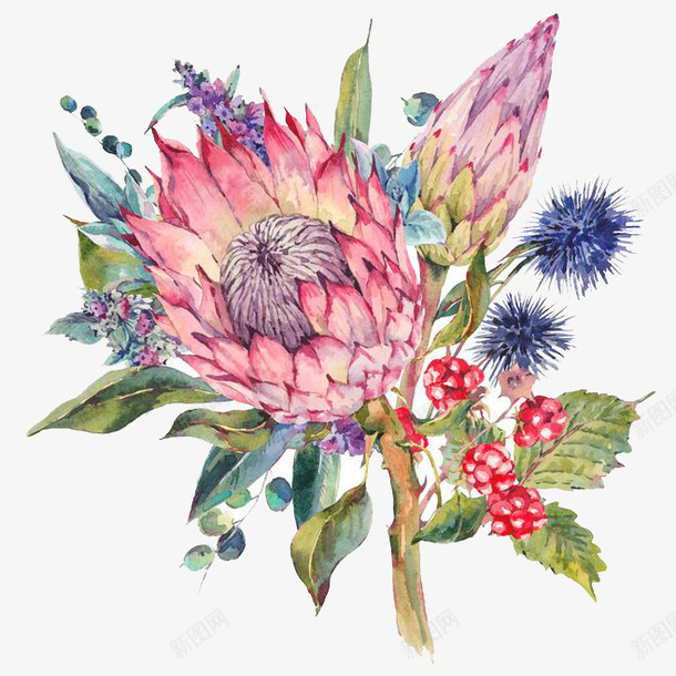 水彩鲜花png免抠素材_88icon https://88icon.com 卡通 手绘 水彩 粉色鲜花 绿叶 装饰