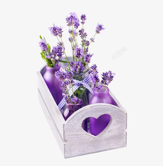 紫色的花png免抠素材_88icon https://88icon.com 瓶子 紫色 紫花 花