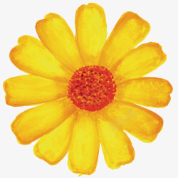 黄色花朵矢量图素材