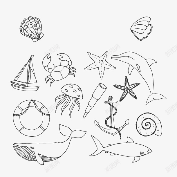 海洋生物矢量图ai免抠素材_88icon https://88icon.com 素描 高清 矢量图