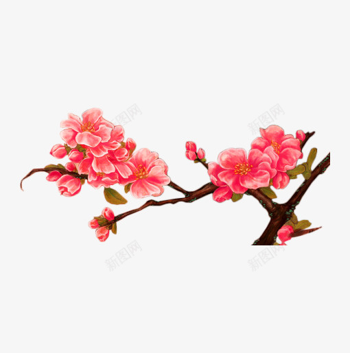 手绘水彩桃花花瓣png免抠素材_88icon https://88icon.com 中国画桃花 手绘桃花 手绘桃花瓣 桃花 桃花花瓣 粉色桃花 花瓣