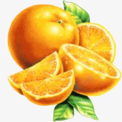 黄色切开的橙子素材