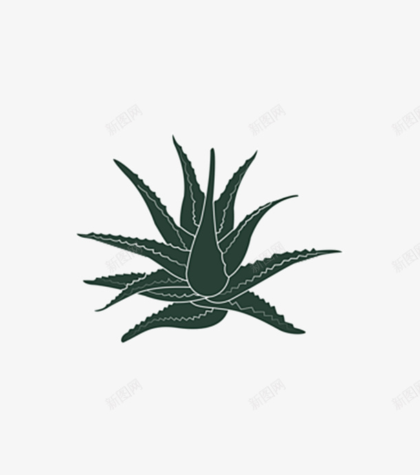 手绘的芦荟png免抠素材_88icon https://88icon.com png图形 png装饰 手绘 植物 芦荟 装饰