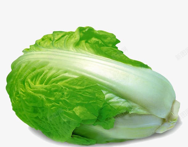 好吃的大白菜png免抠素材_88icon https://88icon.com 健康 白菜 蔬菜 青菜