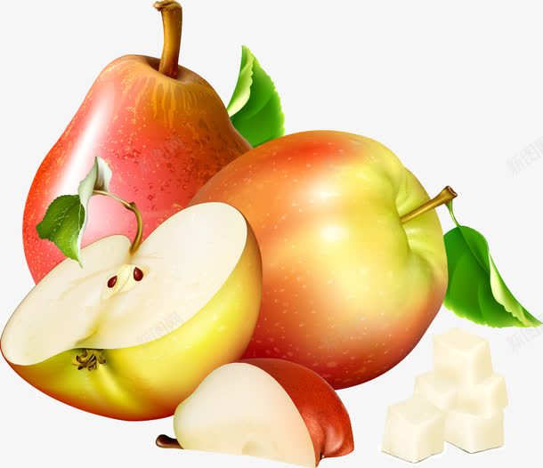 有机苹果和梨子png免抠素材_88icon https://88icon.com 卡通水果 梨子 水果 矢量水果 矢量苹果 苹果