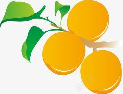 黄色橙子效果元素素材