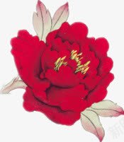 芍药png免抠素材_88icon https://88icon.com 工笔画 红色 花朵