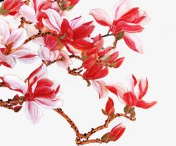 中秋节红粉色花朵包装素材