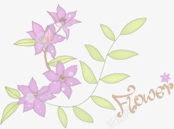 浅紫色花花背景高清图片