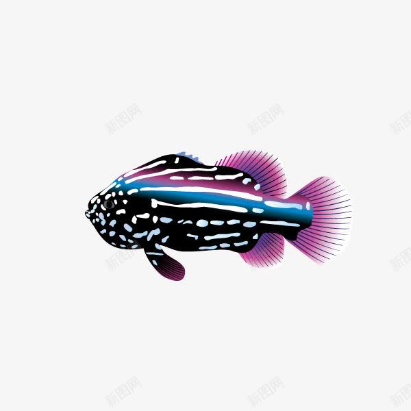 淡紫色花纹鱼png免抠素材_88icon https://88icon.com 海洋动物 淡紫色 漂亮花纹 花纹 装饰图 鱼