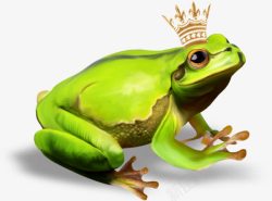 青蛙王子素材