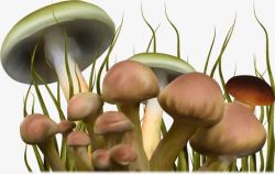 童话世界卡通手绘蘑菇素材