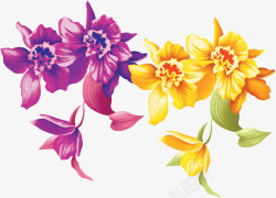 花花朵淘宝紫色黄花素材