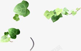 绿色植物效果树叶卡通png免抠素材_88icon https://88icon.com 卡通 效果 树叶 绿色植物