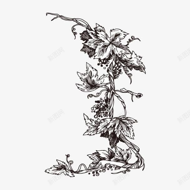 手绘黑色植物png免抠素材_88icon https://88icon.com 创意图 卡通 可爱 彩色图 手绘图 植物 简单 背景