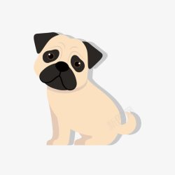 黄色的京巴犬素材