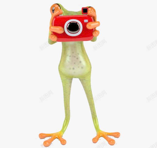 3D小青蛙png免抠素材_88icon https://88icon.com 3D 3D设计 小青蛙 照相