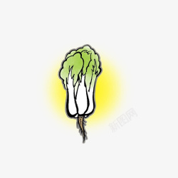 绿色根须卡通手绘带根须的大白菜高清图片