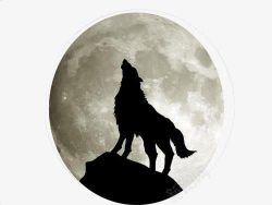 狼与月素材