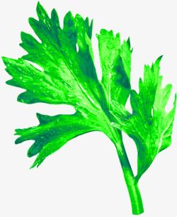 绿色新鲜蔬菜叶装饰图案素材