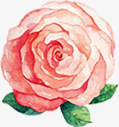 唯美粉色小清新手绘花朵植物素材