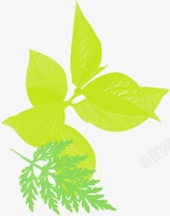 绿色环保树叶植物装饰素材
