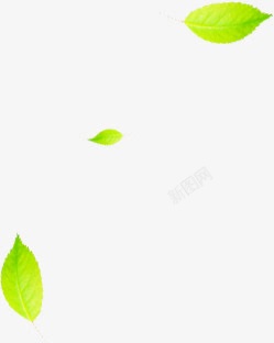 清新树叶绿色装饰海报素材