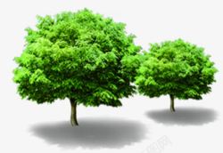 手绘夏日海报绿色植物树木素材
